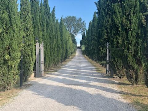 Montepulciano