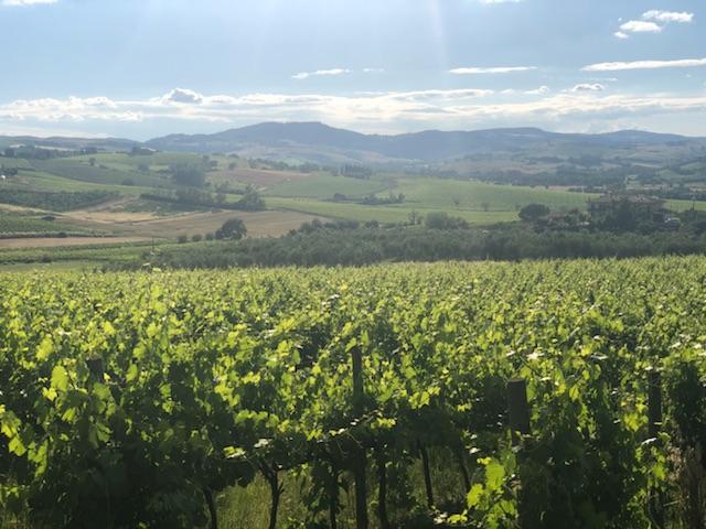 Montepulciano