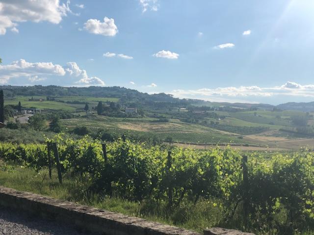 Montepulciano