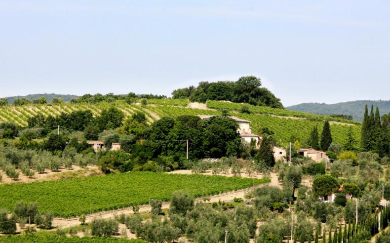 Brunello Poggio Basso